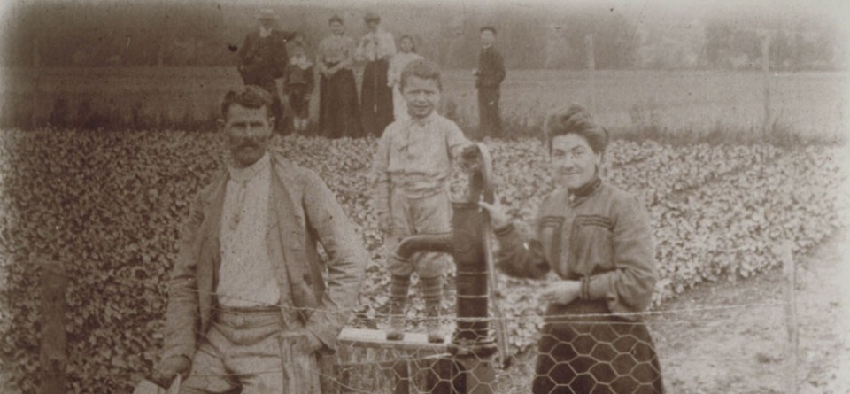 CHAMPAGNE FLEURY vinařství