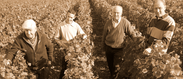 PIERRE GERBAIS vinařství