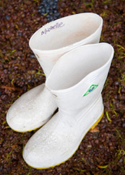 Michelle Richardson vína