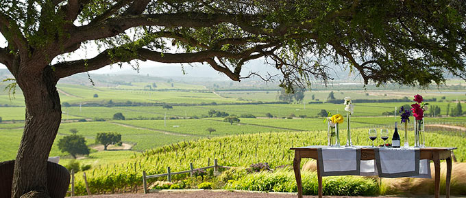 Casas del Bosque vinařství