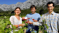 Domaine Sainte Lucie vinařství