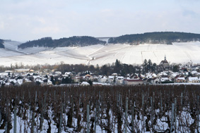 Lamblin et Fils víno