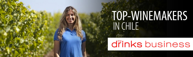 Leyda vinařství Chile