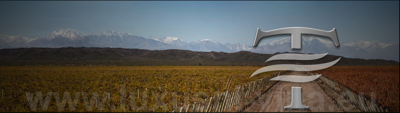 Trivento, Bodegas & Vinedos víno Argentina